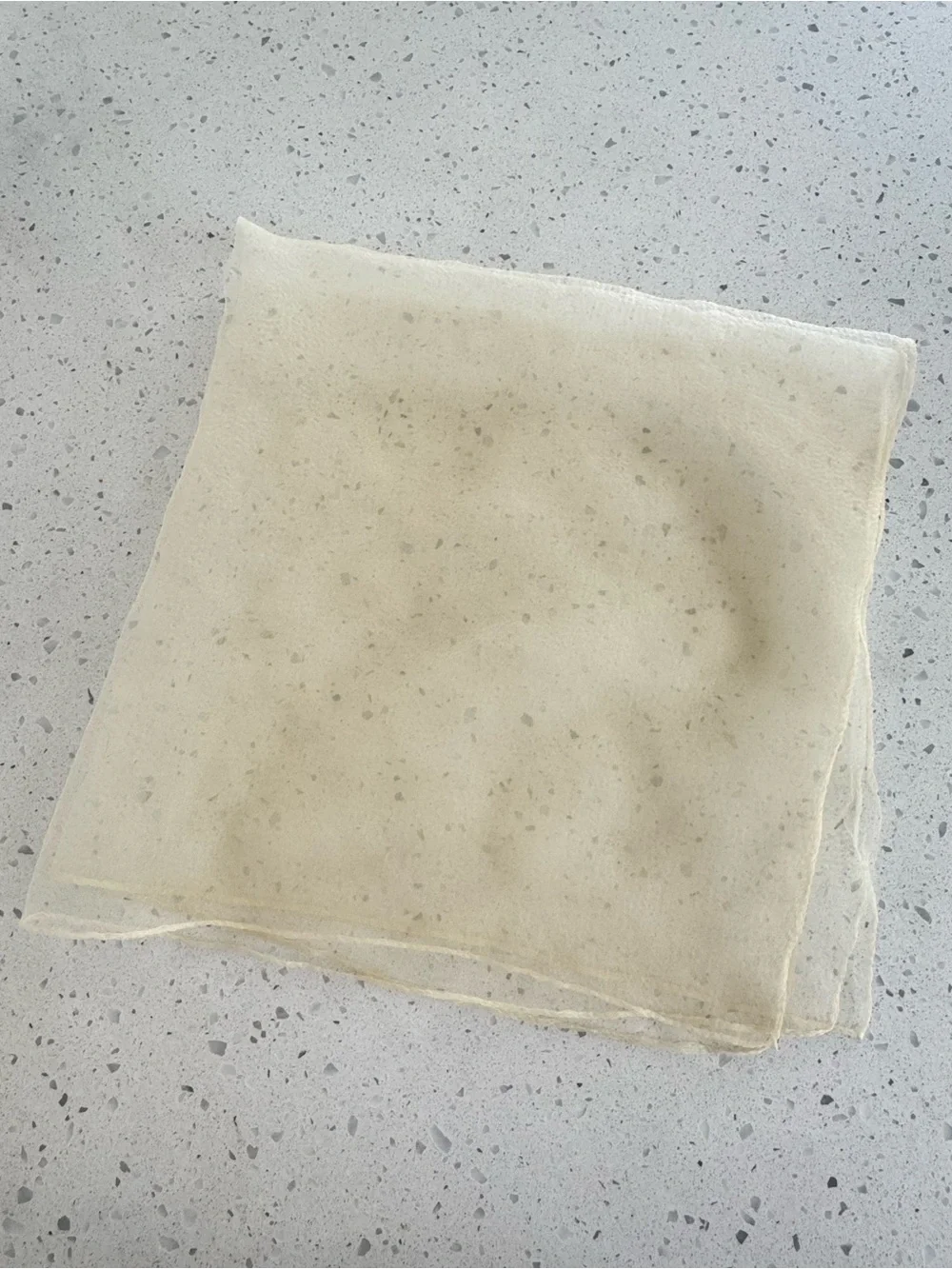 Sheer Cream Vintage Scarf 26” Square